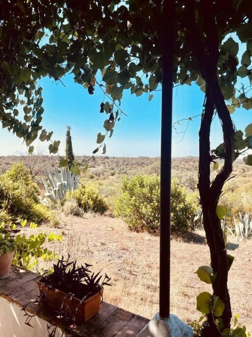 Villa Lavanda By Epoca Suites El Castillo de las Guardas Eksteriør billede